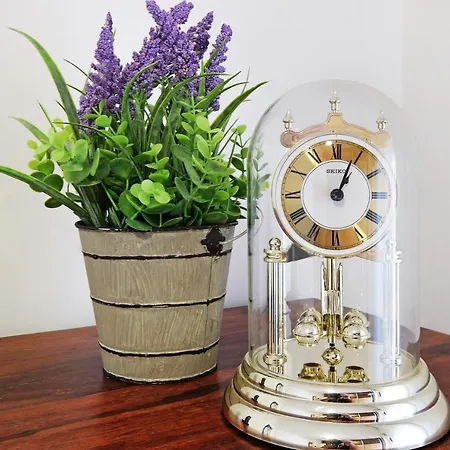 Paradise Exotic Star Belgrado