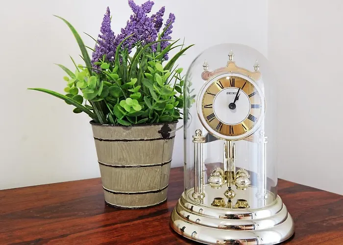 Paradise Exotic Star Belgrád