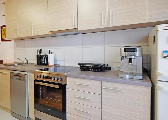 Paradise Exotic Star